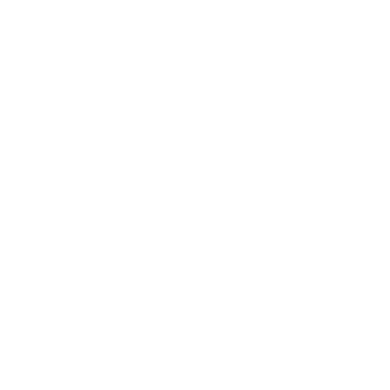 ARAB AMERICAN UNIVERCITY PALESTINE
